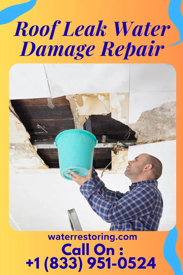 Roof Leak Water Damage Repair in Ratcliff, AR