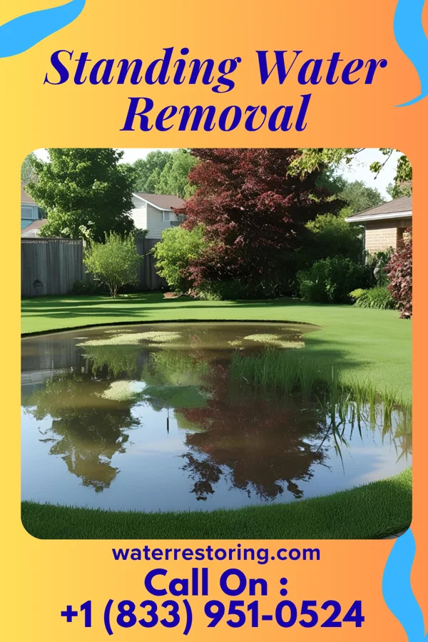 Standing Water Removal in Ratcliff, AR
